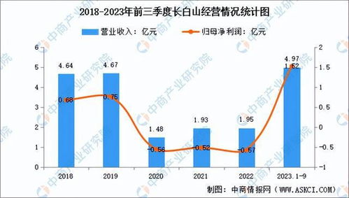 2024年中国冰雪行业市场前景预测研究报告 简版